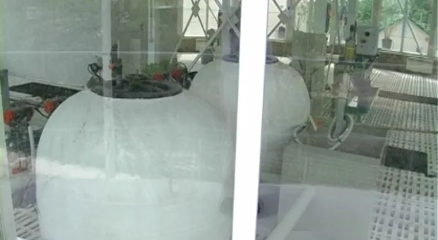 Бельбек не станет чище. Вся канализация – в реку!