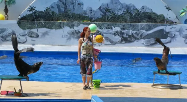 Как в Севастополе отметили День Союза детских организаций