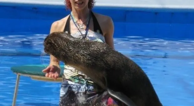 Как в Севастополе отметили День Союза детских организаций