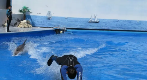 Как в Севастополе отметили День Союза детских организаций