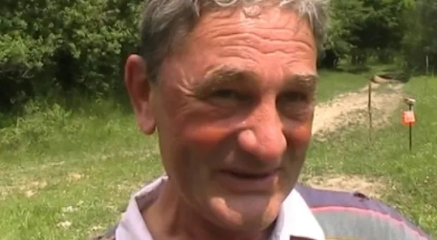 Лесные трассы Мишанова