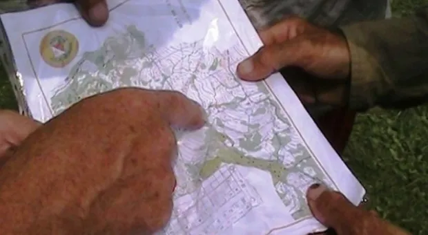 Лесные трассы Мишанова