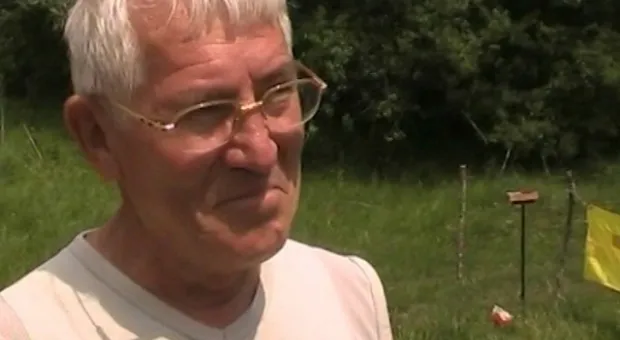 Лесные трассы Мишанова