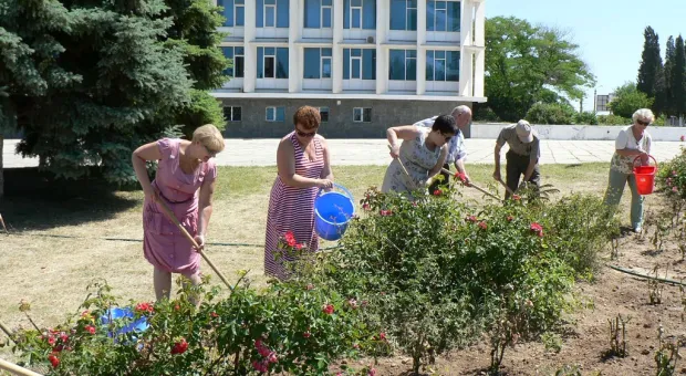 Ко Дню рождения города в Севастополе посадили 229 кустов роз