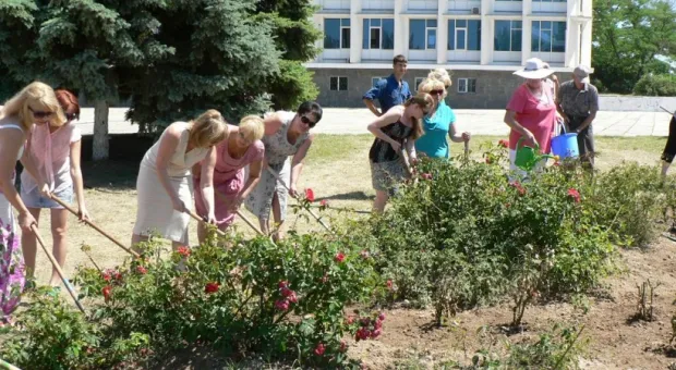 Ко Дню рождения города в Севастополе посадили 229 кустов роз