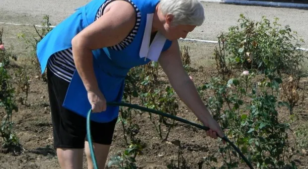 Ко Дню рождения города в Севастополе посадили 229 кустов роз