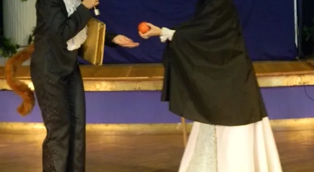 Ко Дню рождения города в Севастополе посадили 229 кустов роз