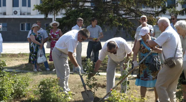Ко Дню рождения города в Севастополе посадили 229 кустов роз