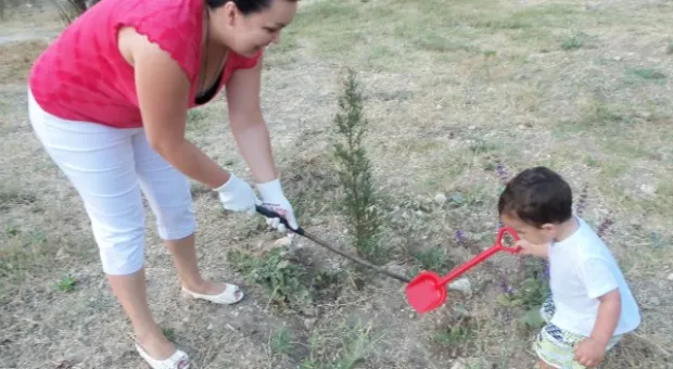 Севастопольцы полили молодые катальпы в сквере Ахматовой. Протестная акция самоорганизованных жителей