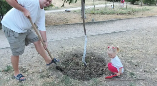 Севастопольцы полили молодые катальпы в сквере Ахматовой. Протестная акция самоорганизованных жителей