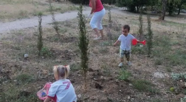Севастопольцы полили молодые катальпы в сквере Ахматовой. Протестная акция самоорганизованных жителей