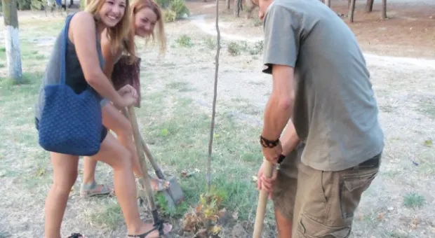 Севастопольцы полили молодые катальпы в сквере Ахматовой. Протестная акция самоорганизованных жителей