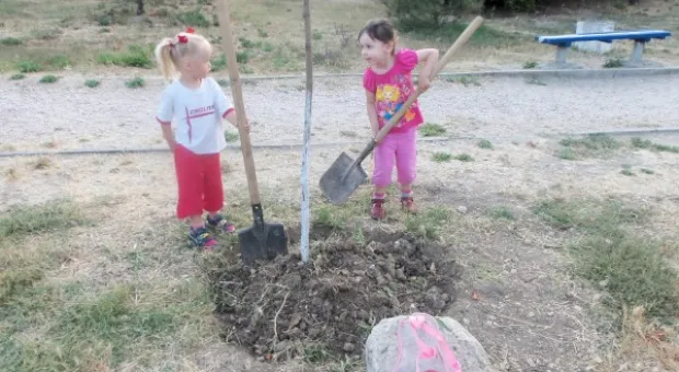 Севастопольцы полили молодые катальпы в сквере Ахматовой. Протестная акция самоорганизованных жителей