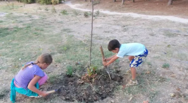 Севастопольцы полили молодые катальпы в сквере Ахматовой. Протестная акция самоорганизованных жителей