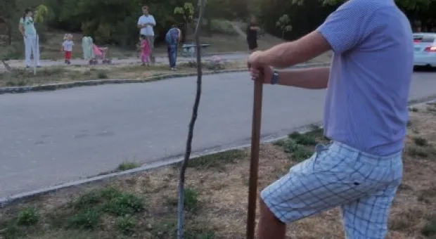 Севастопольцы полили молодые катальпы в сквере Ахматовой. Протестная акция самоорганизованных жителей