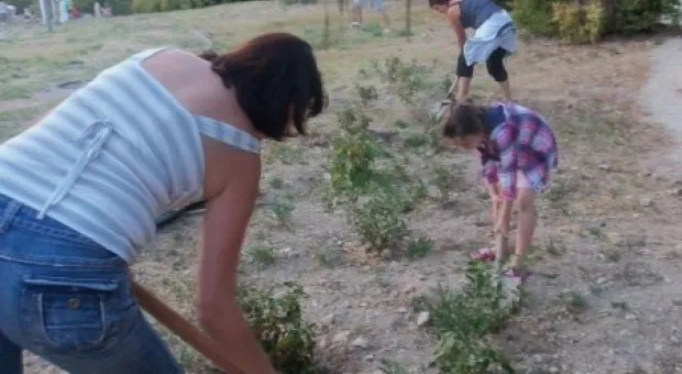 Севастопольцы полили молодые катальпы в сквере Ахматовой. Протестная акция самоорганизованных жителей