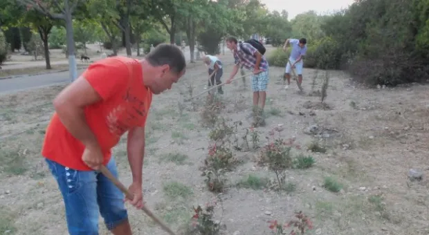 Севастопольцы полили молодые катальпы в сквере Ахматовой. Протестная акция самоорганизованных жителей