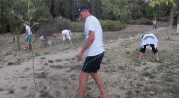 Севастопольцы полили молодые катальпы в сквере Ахматовой. Протестная акция самоорганизованных жителей