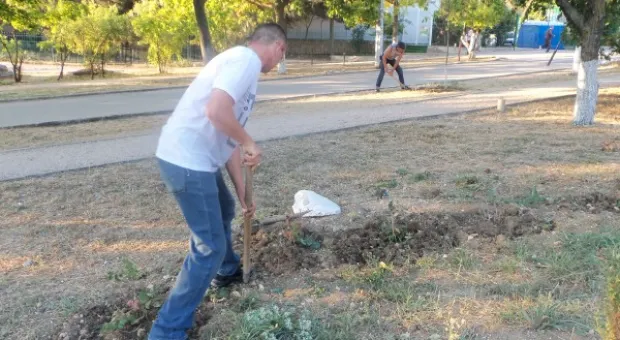 Севастопольцы полили молодые катальпы в сквере Ахматовой. Протестная акция самоорганизованных жителей