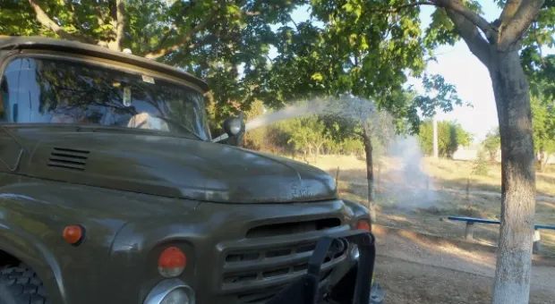 Севастопольцы полили молодые катальпы в сквере Ахматовой. Протестная акция самоорганизованных жителей