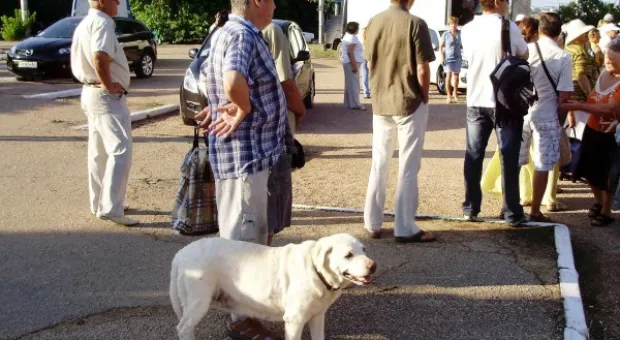 С Днём рыбака! Праздник в Севастополе начался с ярмарки С Днём рыбака! Праздник в Севастополе начался с ярмарки