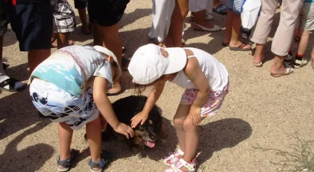 Праздник продолжается. На сцене дети и внуки рыбаков, поздравления издалека и интервью с председателем РГА Олегом Сердюком