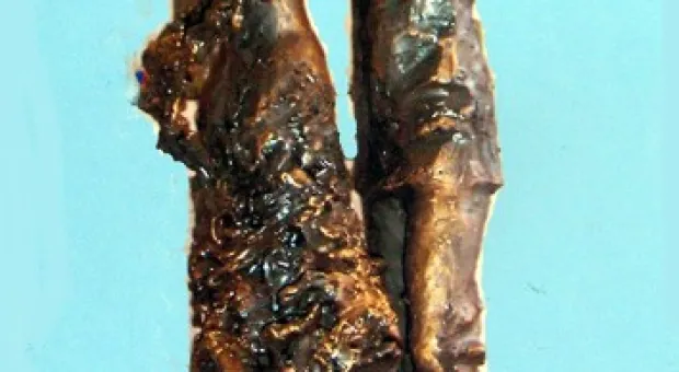 На Приморском бульваре установят скульптуру "Севастопольский вальс" На Приморском бульваре установят скульптуру "Севастопольский вальс"