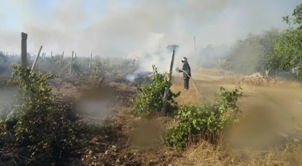 Из-за аномальной жары в Севастополе растет количество пожаров