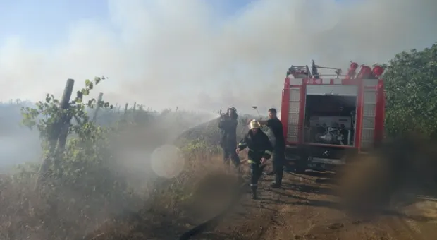 Севастопольские мальчишки помогали спасателям тушить страшный пожар