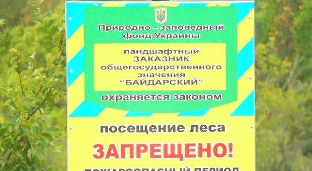 В Севастополе усилено патрулирование лесов. Тех, кто отказывается покидать лес, отвезут в милицию