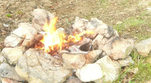 В Севастополе усилено патрулирование лесов. Тех, кто отказывается покидать лес, отвезут в милицию