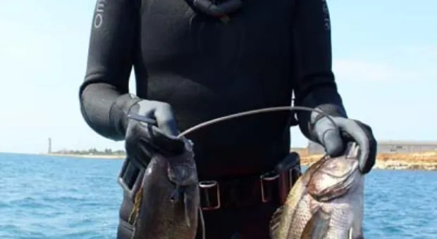 Сегодня в Севастополе стартует ХХІ Всеукраинский чемпионат по подводной охоте