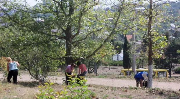 Субботник, пикет и предвыборные страсти ОСН «Ульяновские Дворы».