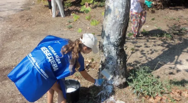 Субботник, пикет и предвыборные страсти ОСН «Ульяновские Дворы».