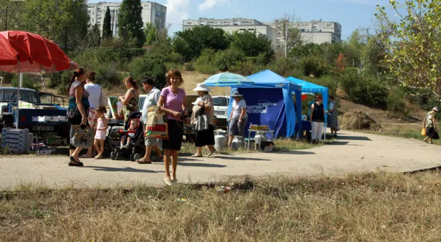 В Севастополе провели "Ярмарку выходного дня"