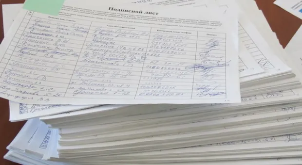 Подведены итоги сбора подписей в поддержку создания Приморского парка на мысе Хрустальный
