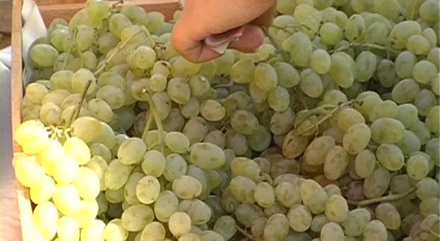 Праздничные ярмарки прошли в Балаклаве и Инкермане