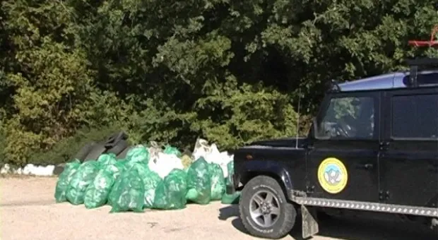 Сентябрьская зачистка леса