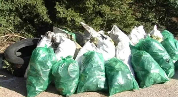 Сентябрьская зачистка леса