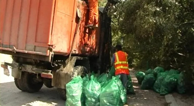 Сентябрьская зачистка леса