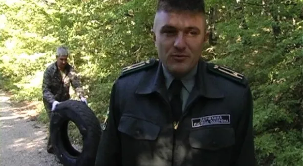 Сентябрьская зачистка леса