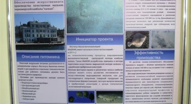 В Севастополе открылся международный инвестиционный форум ISIF -2012
