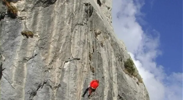 В Севастополе спасатели обменялись опытом