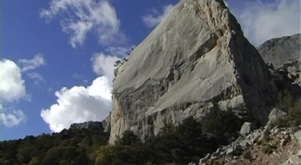 В Севастополе спасатели обменялись опытом