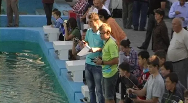 В Севастополе прошел Чемпионат Крыма по судомодельному спорту