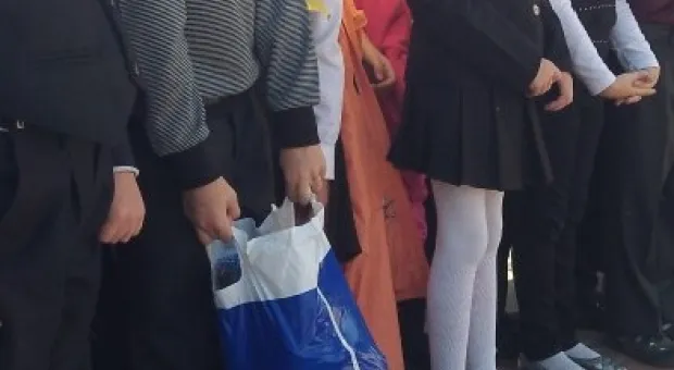 ОО «Севастопольские мамы» возмущены тем, что политики используют детей в предвыборной агитации