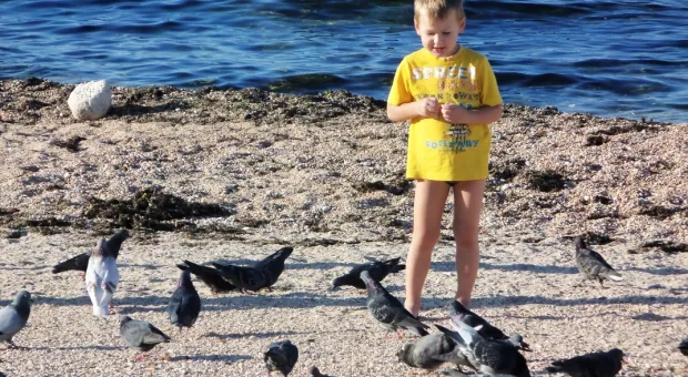 Кого выбрать в воскресенье? У Севастопольцев есть последняя возможность «посоветоваться с морем»