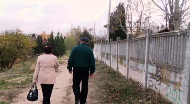 Забор строят – деревья пилят? Учёные и экологи: «Доколе?» и «Кто ответит?»