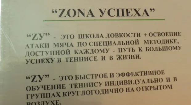 Горсовет разбирался с ещё одной территорией УСПЕХА в Стрелке. Правда, теперь это «ЗОНА»