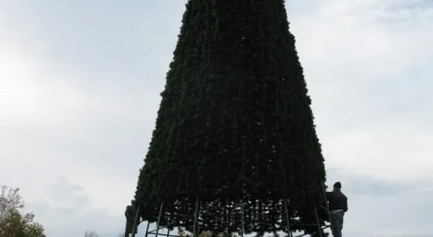 В Севастополе на площади Нахимова установлена городская ёлка